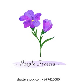 Textura de color agua vector jardín botánico flor morado freesia