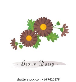 Colorful watercolor texture vector botanic garden flower asteraceae brown daisy