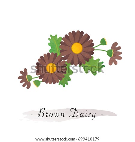 Colorful watercolor texture vector botanic garden flower asteraceae brown daisy