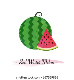 Colorful watercolor texture vector healthy fruit red water melon