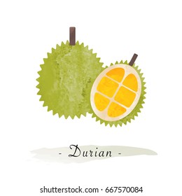 Colorful watercolor texture vector healthy fruit durian