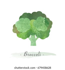 Colorful watercolor texture vector healthy vegetable broccoli