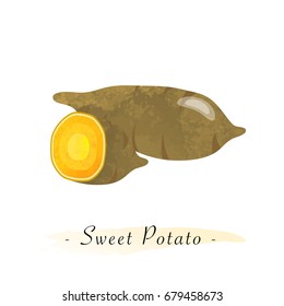 Colorful watercolor texture vector healthy vegetable sweet potato