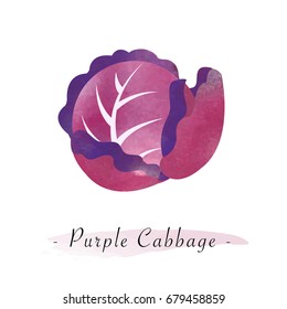 Colorful watercolor texture vector healthy vegetable purple cabbage