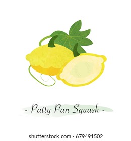 Colorful watercolor texture vector healthy vegetable yellow patty pan squash