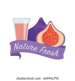 Colorful watercolor texture vector nature organic fresh fruit juice banner fig