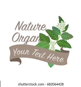 Colorful watercolor texture vector nature organic vegetable banner green basil