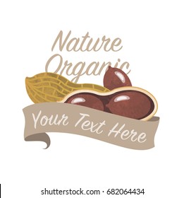 Colorful watercolor texture vector nature organic vegetable banner peanut
