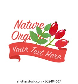 Colorful watercolor texture vector nature organic vegetable banner rose hips