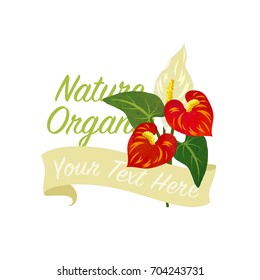 Colorful watercolor texture vector nature botanic garden flower banner red anthurium flamingo flower