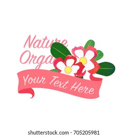 Colorful watercolor texture vector nature botanic garden flower banner desert rose impala lily