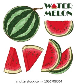 Colorful watermelon isolated on white background. Hand drawn cartoon vector watermelon set