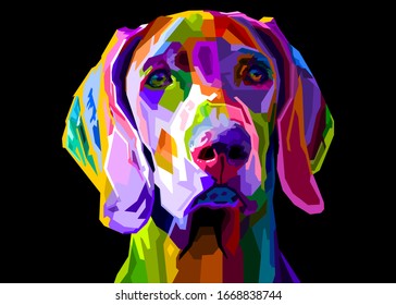 colorful weimaraner dog on pop art style. vector illustration
