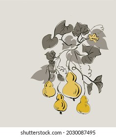colorful wgourd pumpkin vector card japanese chinese nature ink illustration engraved sketch traditional