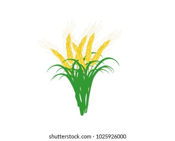 Colorful Wheat - Cartoon Vector Image