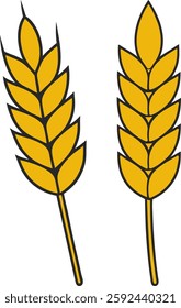 Colorful wheat ears vector, Ears icon set, Agricultural yellow wheat ears vector art