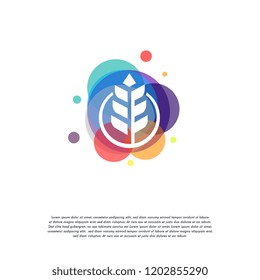 Colorful Wheat logo vector, Grain logo designs template, design concept, logo, logotype element for template