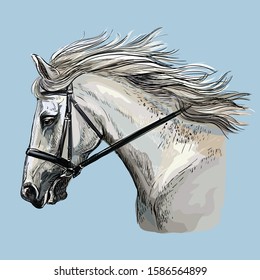 Colorful white horse portrait with bridle. Horse head with long mane in profile isolated on blue background. Vector hand drawing illustration. Retro style portrait of running horse.