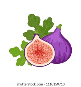 Colorful whole and half figs with green leaf. Vector illustration isolated on white background.