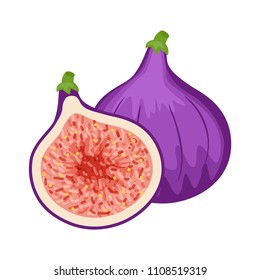 Colorful whole and half figs . Vector illustration isolated on white background.