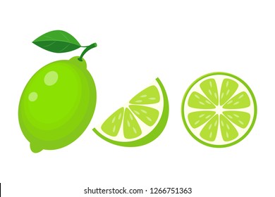 Colorful whole, half and slice lime with green leaf. Vector illustration isolated on white background.