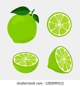 Colorful whole, half and slice lime with green leaf. Vector illustration isolated on white background.