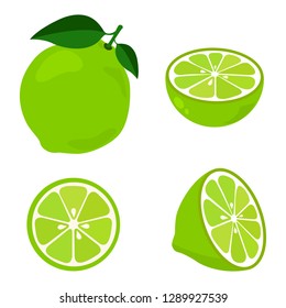 Colorful whole, half and slice lime with green leaf. Vector illustration isolated on white background. 