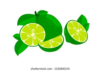 Colorful whole, half and slice lime with green leaf. Vector illustration isolated on white background.