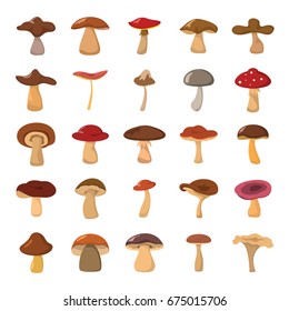 Colorful  wild collection of assorted mushrooms and toadstools in cartoon style isolated on white background vector illustration
