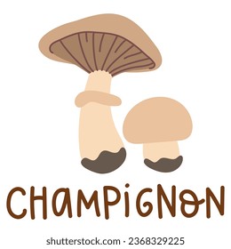 Colorful wild edible champignon with cartoon-style names. Isolated vector flat illustration. Mushroom mushroom. Edible mushrooms in forests large and small white outside, plate, growing