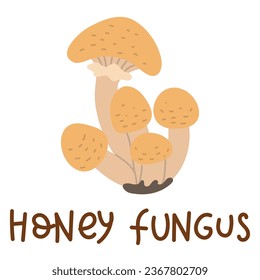 Colorful wild edible honey fungus with cartoon-style names. Isolated vector flat illustration. Honeydew mushroom. Edible mushrooms in forests in groups of large and small with beige caps, growing