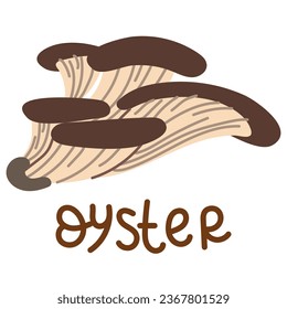 Colorful wild edible oyster with cartoon-style names. Isolated vector flat illustration. Oyster mushrooms. Edible mushrooms in forests in groups of large and small with brown caps, growing