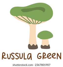 Colorful wild edible russula green with cartoon-style names. Isolated vector flat illustration. Syroezhka mushroom. Edible mushrooms in forests large and small green, plate, growing