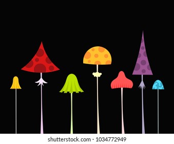 Colorful wild forest mushrooms. Vector illustration