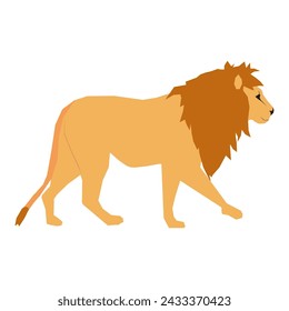 Colorful Wild Lion Vector Illustration