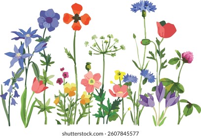 Colorful wildflowers illustration, field of flowers