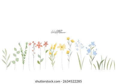 Colorful wildflowers watercolor botanical background set. Spring and summer Background watercolor arrangements with small flower. Botanical illustration minimal style.