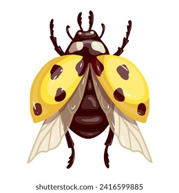 Colorido insecto alado amarillo ladybug.Gráficos vectores.