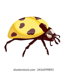 Colorido insecto alado amarillo ladybug.Gráficos vectores.