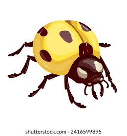 Colorido insecto alado amarillo ladybug.Gráficos vectores.