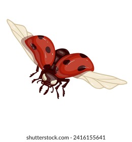 Colorful winged red ladybug insect.Vector graphics.