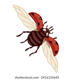 Colorful winged red ladybug insect.Vector graphics.