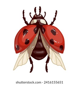 Colorful winged red ladybug insect.Vector graphics.