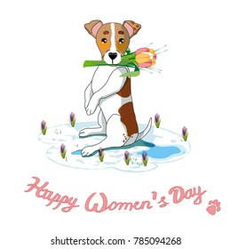 Colorful Women Day romantic template with cute dog holding in teeth bouquet of flowers isolated vector illustration