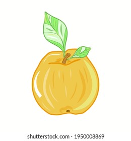Colorful yellow apple icon illustration. Idea for decors, logo, ornaments, wallpapers, gifts, damask, paper, covers, templates, celebrations, summer holidays, natural fruit themes. Isolated vector.