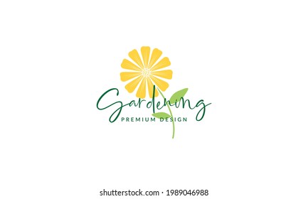 colorful yellow flower daisy logo symbol vector icon illustration graphic design