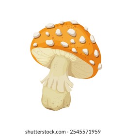 Colorful yellow fly agaric, forest mushroom toadstool. Vector graphics.