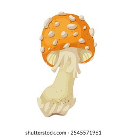 Colorful yellow fly agaric, forest mushroom toadstool. Vector graphics.