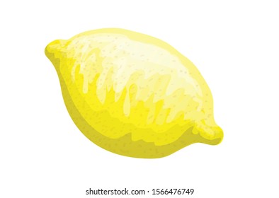 Colorful yellow whole lemon Vector illustration isolated on white background