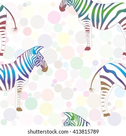 Colorful zebra on background of multicolored circles. Vector, pattern.